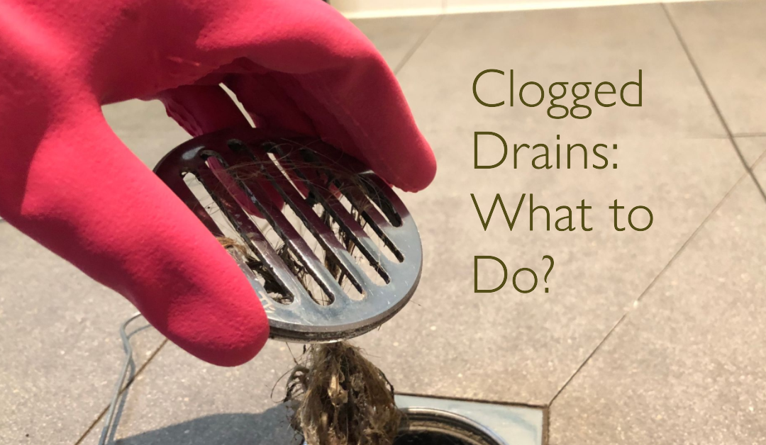 Clogged Drains: What to Do?