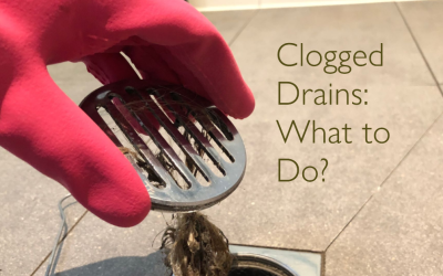 Clogged Drains: What to Do?